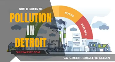 Unveiling Detroit's Air Pollution: Sources and Solutions Revealed