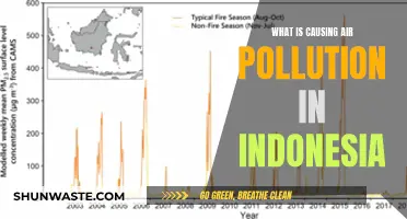 Unveiling Indonesia's Air Pollution Crisis: Sources and Solutions