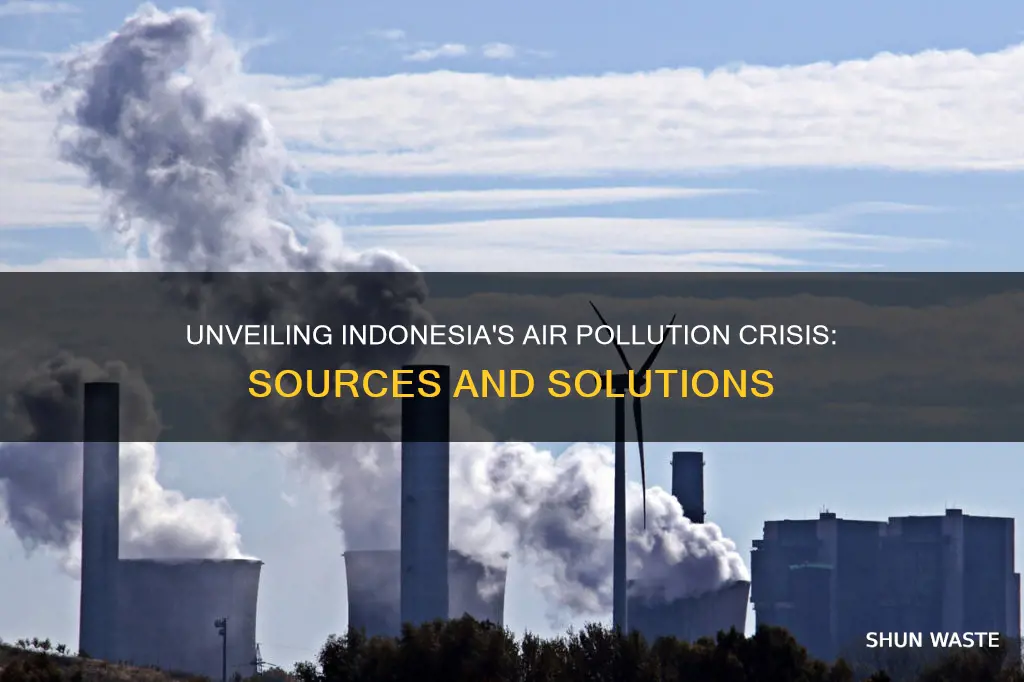 what is causing air pollution in indonesia