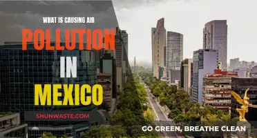 Mexico's Air Crisis: Unveiling the Sources of Pollution