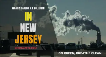 Unveiling New Jersey's Air Pollution: Sources and Solutions