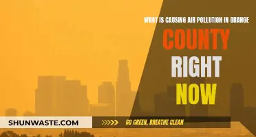 Unveiling Orange County's Air Pollution: Sources and Solutions