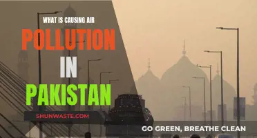 Unveiling Pakistan's Air Pollution Crisis: Sources and Solutions