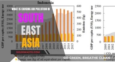 Unveiling Southeast Asia's Air Pollution Crisis: Sources and Solutions