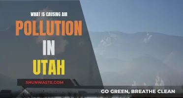 Utah's Air: Unraveling the Sources of Pollution