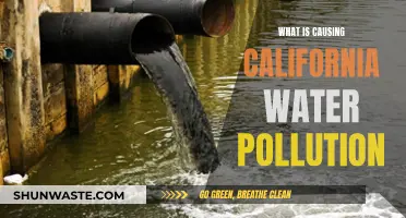 Unveiling California's Water Crisis: Sources of Pollution