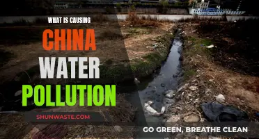 Unveiling China's Water Crisis: Sources of Pollution and Solutions