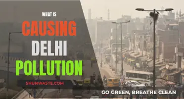 Unveiling Delhi's Air Pollution Crisis: Sources and Solutions