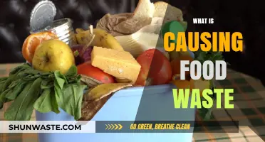 Uncovering the Root Causes of Food Waste: A Comprehensive Analysis