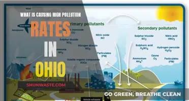 Unveiling Ohio's Pollution Crisis: Sources and Solutions