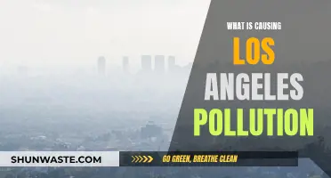 Unveiling LA's Air Pollution: Sources and Solutions