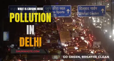 Unveiling Delhi's Noise Pollution: Sources and Solutions