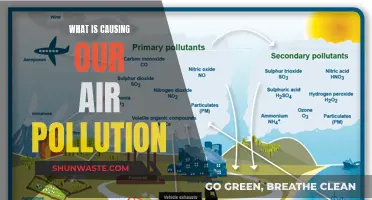 Unveiling the Hidden Sources: Understanding Air Pollution's Complex Causes