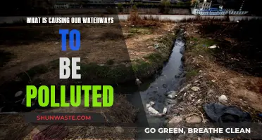 Unveiling the Sources: Why Our Waterways Are Being Polluted