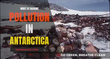 Unveiling Antarctica's Hidden Polluters: Sources and Solutions Explored