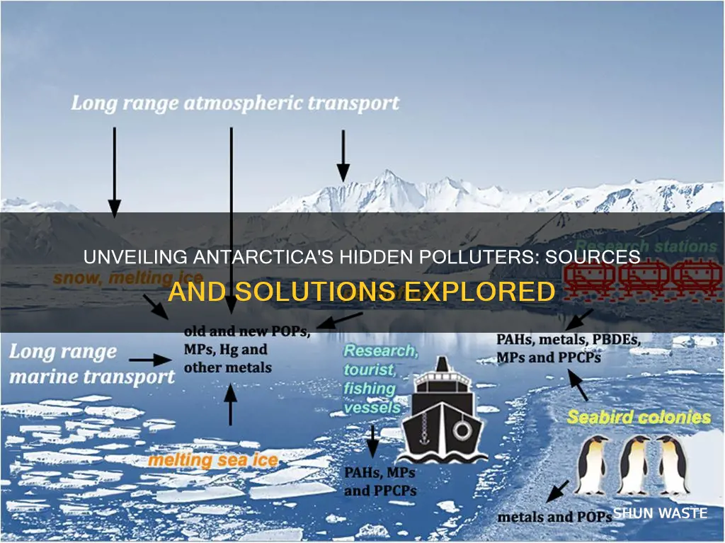 what is causing pollution in antarctica