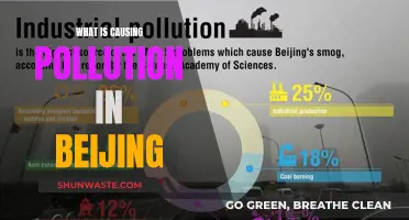 Unveiling Beijing's Air Pollution: Sources and Solutions