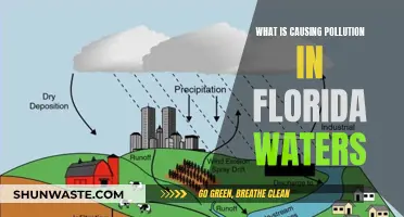 Unveiling Florida's Water Pollution: Sources and Solutions