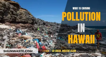 Unveiling Hawaii's Pollution Crisis: Sources and Solutions Revealed