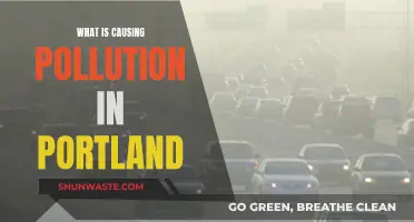 Unveiling Portland's Pollution: Sources and Solutions for a Greener Future