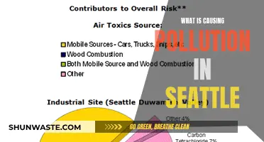 Unveiling Seattle's Pollution: Sources and Solutions