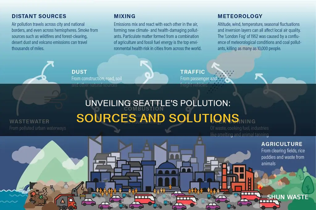 what is causing pollution in seattle