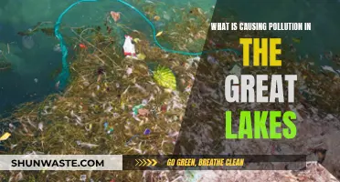 Unveiling the Sources: Understanding Great Lakes Pollution