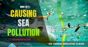 Unveiling the Sources: Understanding the Causes of Sea Pollution