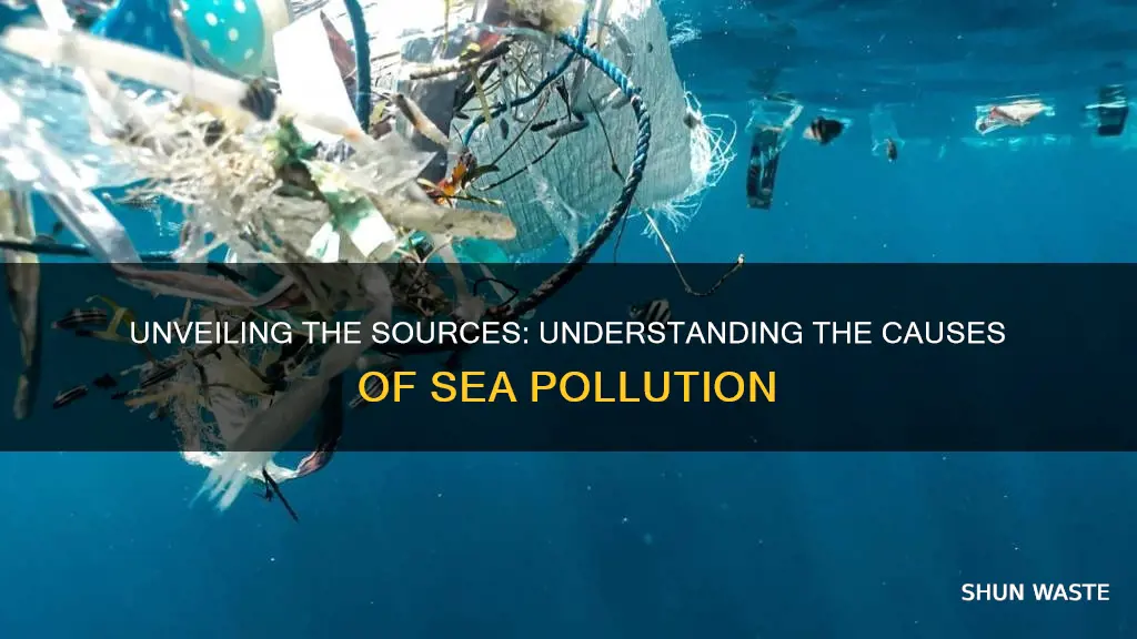 what is causing sea pollution