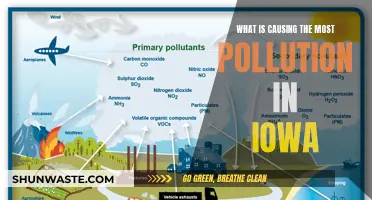 Iowa's Hidden Polluters: Uncovering the Sources of Environmental Degradation