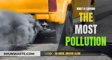 Unveiling the Hidden Sources: What's Causing the Most Pollution?