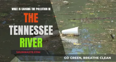 Unveiling the Sources: Tennessee River's Pollution Crisis Explained