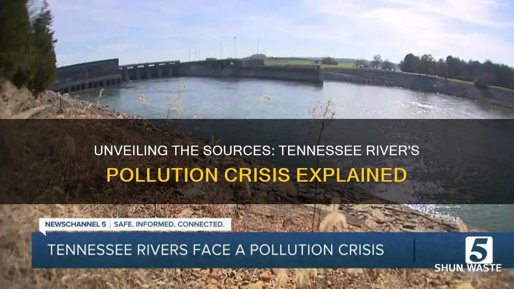 what is causing the pollution in the tennessee river