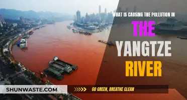 Unveiling the Sources: Yangtze River's Pollution Crisis Explained