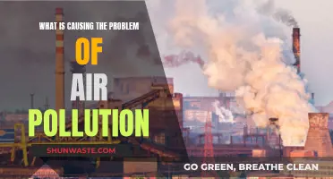 Unveiling the Complex Web: Air Pollution's Multifaceted Causes