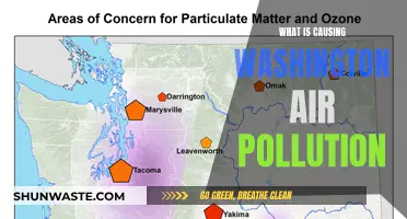 Unveiling the Sources: Why Air Pollution Plagues Washington