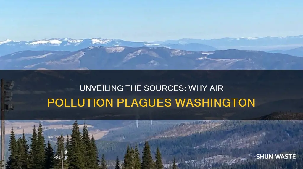 what is causing washington air pollution