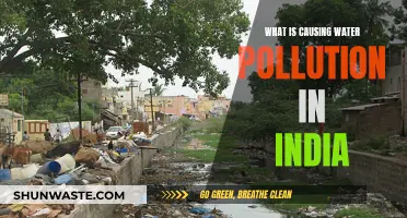 Unveiling India's Water Crisis: Sources of Pollution