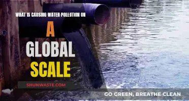 Global Water Crisis: Uncovering the Causes of Pollution