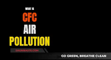 CFC Air Pollution: Harmful Impact and Solutions