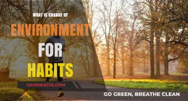 Transform Your Habits: How a New Environment Sparks Lasting Change