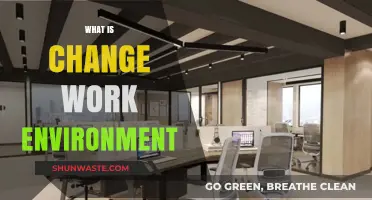 Transforming Workspaces: Understanding Change in the Modern Work Environment