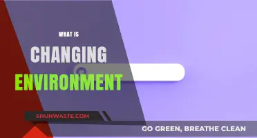 Understanding the Shifting Dynamics of Our Changing Environment Today