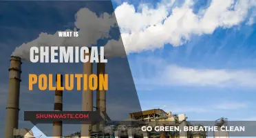Chemical Pollution: Understanding the Toxic Threat