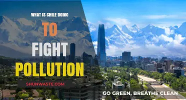 Chile's Fight Against Pollution: Strategies and Initiatives
