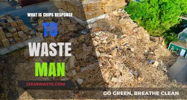 CHIPS' Innovative Approach to Tackling Waste Management Challenges