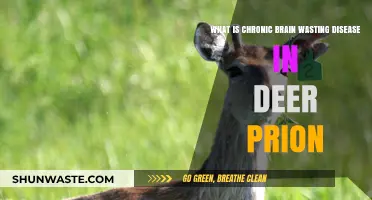 Understanding Chronic Wasting Disease: Prion Threat to Deer Populations