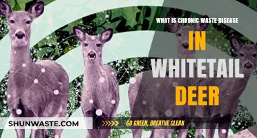 Understanding Chronic Wasting Disease in Whitetail Deer: Causes and Impact