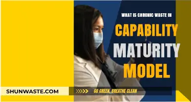 Understanding Chronic Waste in Capability Maturity Model (CMM)