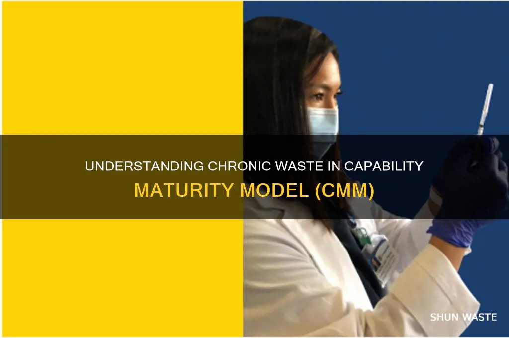 what is chronic waste in capability maturity model